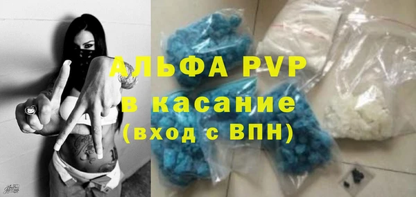 крисы Магас