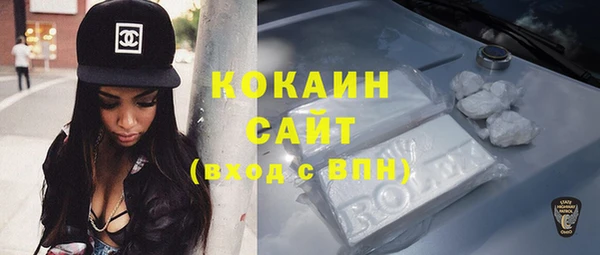 крисы Магас
