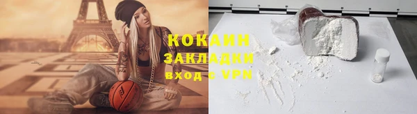 крисы Магас