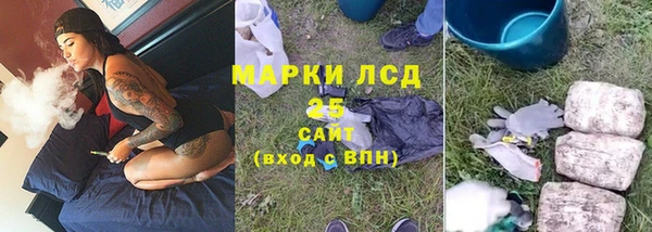 крисы Магас