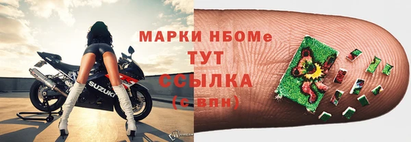 крисы Магас