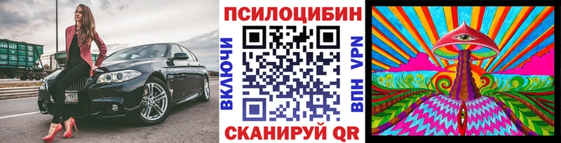 Псилоцибиновые грибы прущие грибы  KRAKEN ССЫЛКА  Шадринск  купить наркотики сайты 
