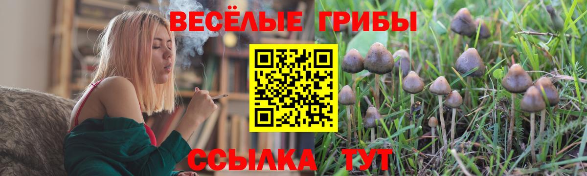 Шадринск  Псилоцибиновые грибы GOLDEN TEACHER  Вход с VPN  Псилоцибиновые грибы Psilocybe 